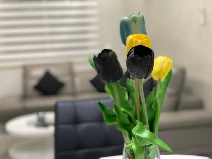 Modern Apartment In The Heart Of 탕헤르 객실 사진